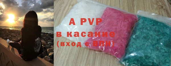 сатива Нягань