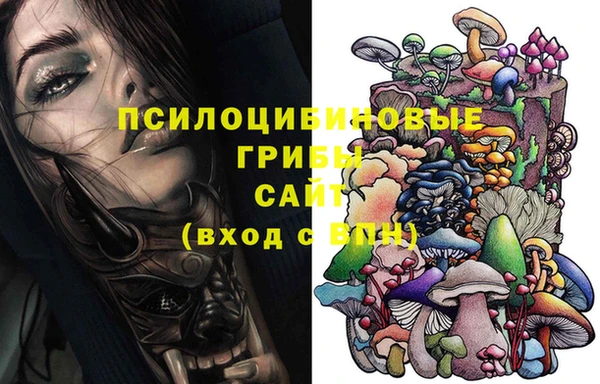 гидра Аркадак