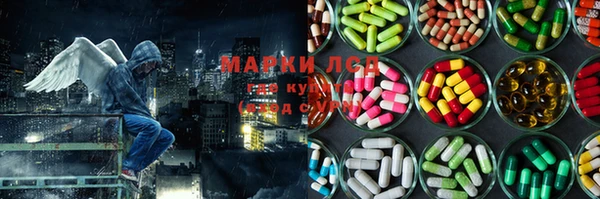 гидра Аркадак