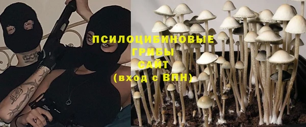 твердый Армянск